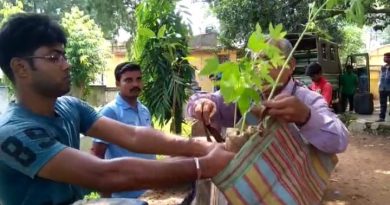 বেস্ট কলকাতা নিউজ : সোনামুখী ফরেস্টের উদ্যোগে চারাগাছ প্রদান করা হলো সাধারণ জনগণের হাতে