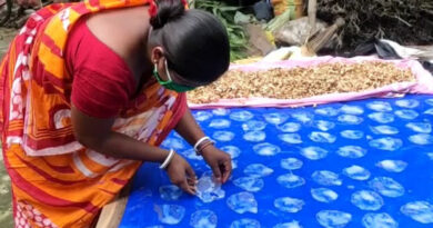 বেস্ট কলকাতা নিউজ : চোপড়ার মহিলারা স্বনির্ভর হচ্ছেন মাশরুম দিয়ে আচার-পাঁপড় তৈরি করে