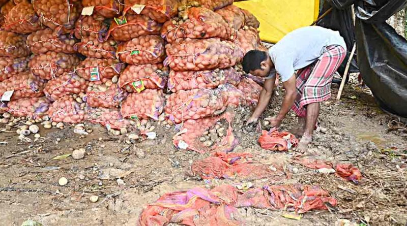 বেস্ট কলকাতা নিউজ : অবশেষে বাজারে নজরদারির দাবি উঠলো আলুর লাগামছাড়া দামে রাশ টানতে