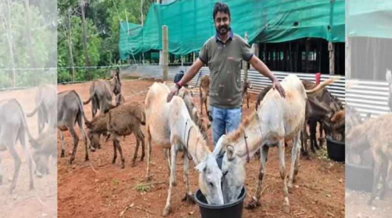 বেস্ট কলকাতা নিউজ : অবশেষে গাধার দুধ বিক্রি শুরু করেছিলেন চাকরি ছেড়ে দিয়ে , এই ব্যক্তি লাখপতি হলেন মাত্র ৫ দিনেই