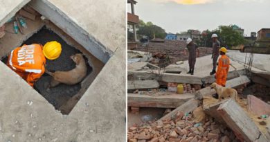 বেস্ট কলকাতা নিউজ : কংক্রিটের ধ্বংসস্তূপের ভিতরে স্নিফার ডগ, চলছে উদ্ধারকাজ, এমনকি আশঙ্কা আটকে থাকারও