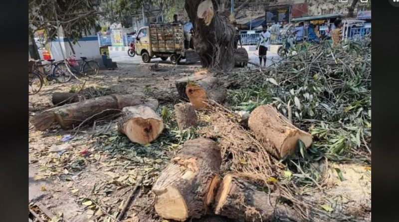 বেস্ট কলকাতা নিউজ : গাছ কাটা নিয়ে পুরনিগমকে একযোগে আক্রমন বিজেপী,সিপিএম এবং কংগ্রেসের