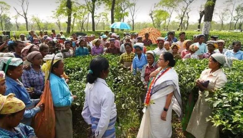 বেস্ট কলকাতা নিউজ : অবশেষে দীর্ঘ টালবাহানার পর সাইলি চা-বাগান খুলল মুখ্যমন্ত্রীর হস্তক্ষেপে