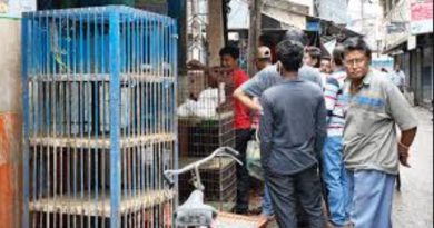 বেস্ট কলকাতা নিউজ : শিলিগুড়িতে ক্রমশ বাড়ছে মুরগির মাংসের দাম