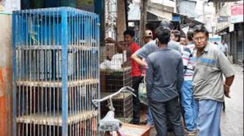 বেস্ট কলকাতা নিউজ : শিলিগুড়িতে ক্রমশ বাড়ছে মুরগির মাংসের দাম