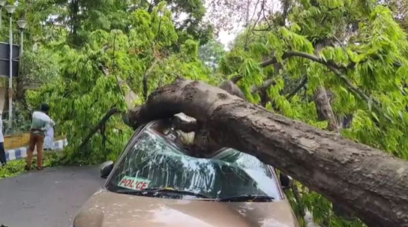 বেস্ট কলকাতা নিউজ : আস্ত একটা গাছ হুড়মুড়িয়ে পড়ল খোদ পুলিশের গাড়ির উপর , চরম এক সাংঘাতিক কাণ্ড সল্টলেকে