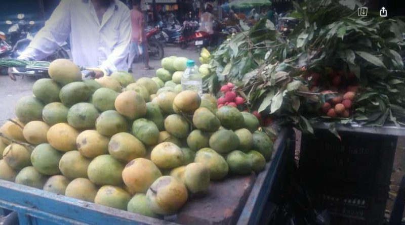 স্ট কলকাতা নিউজ : পাহাড়ে বেড়েছে আমের চাহিদা, সেই তুলনায় রপ্তানি করা যাচ্ছে না মালদার আম