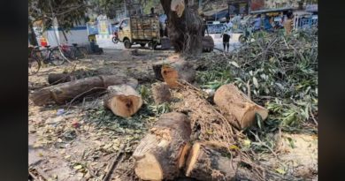 বেস্ট কলকাতা নিউজ : গাছ কাটাকে কেন্দ্র করে বিতর্ক ক্রমশ বাড়ছে শিলিগুড়িতে