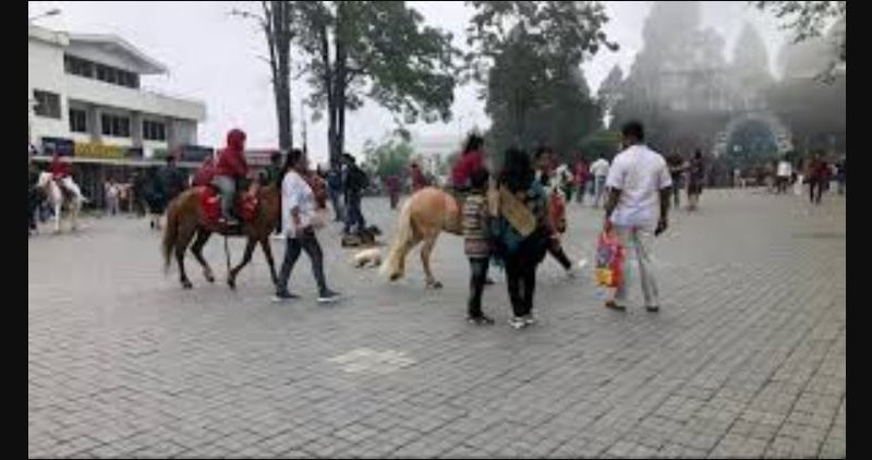 বেস্ট কলকাতা নিউজ : স্বাভাবিক হল পাহাড়ের জনজীবন, পর্যটক দের ভীড় নিয়ে আশা পাহাড়ের হোটেল ব্যাবসায়দের