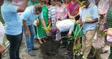 বেস্ট কলকাতা নিউজ : প্রচন্ড গরমে শিলিগুড়ি সূর্যসেন পার্কে বৃক্ষরোপন কর্মসূচি মেয়র গৌতম দেবের