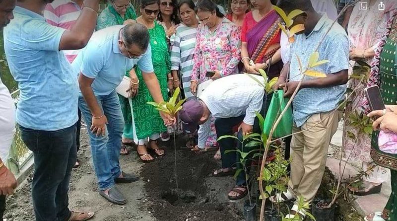 বেস্ট কলকাতা নিউজ : প্রচন্ড গরমে শিলিগুড়ি সূর্যসেন পার্কে বৃক্ষরোপন কর্মসূচি মেয়র গৌতম দেবের