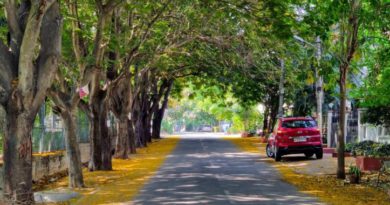 বেস্ট কলকাতা নিউজ : এক সোনার পালক বাংলার এই পুরসভার মুকুটে, তাজ্জব হবেন নাম জানলে পরে