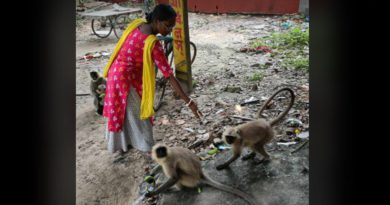 বেস্ট কলকাতা নিউজ : সকাল থেকে বাঁদরদের খাওয়ান পেশায় গৃহশিক্ষিকা চন্দনা ব্যানার্জি , জানান ওদের মধ্যেই ঈশ্বর থাকেন