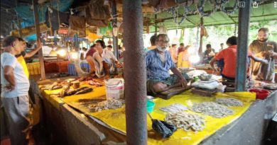 বেস্ট কলকাতা নিউজ : শিলিগুড়িতে ফাঁকা মাছের বাজার চরম হতাশ মাছ বিক্রেতা গন