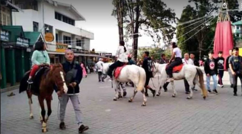 বেস্ট কলকাতা নিউজ : হাসছে পাহাড় হাসছে সিকিম , পর্যটকদের ঢল নেমেছে পাহাড়ে