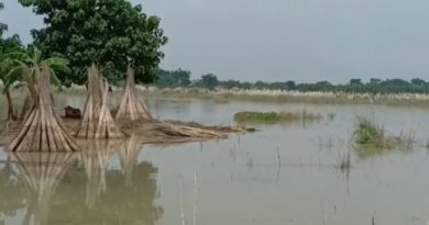 বেস্ট কলকাতা নিউজ : ভাগীরথীর করাল গ্রাসে গিয়েছে ধান-পাট, সর্বস্ব হারিয়ে এখন চরম নিঃস্ব কাটোয়ার চাষিরা