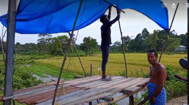 বেস্ট কলকাতা নিউজ : হাতির তাণ্ডবে ক্রমশ নষ্ট হচ্ছে জমির ফসল , কৃষকেরা চরম নাজেহাল জলপাইগুড়িতে