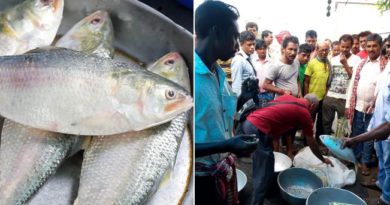 বেস্ট কলকাতা নিউজ : ইলিশপ্রেমীদের জন্য অবশেষে বিরাট সুখবর পুজোর ঠিক মুখে! বড়সড় আশার কথা শোনালেন মৎস্য দপ্তরের এক আধিকারিক