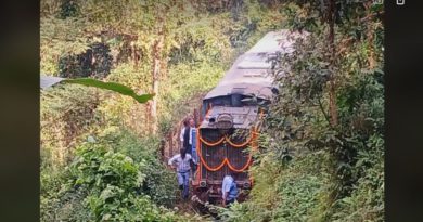 বেস্ট কলকাতা নিউজ : ‘ আনন্দের শুরুতেই চরম বিপত্তি , টয় ট্রেন থেমে গেল জঙ্গলের মাঝ রাস্তাতেই