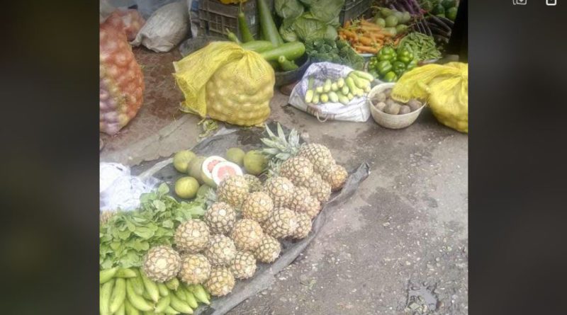 বেস্ট কলকাতা নিউজ : ক্রমশ ধরাছোঁয়ার বাইরে চলে যাচ্ছে সবজির দাম, তীব্র আতঙ্ক ছড়াচ্ছে মানুষের মনে