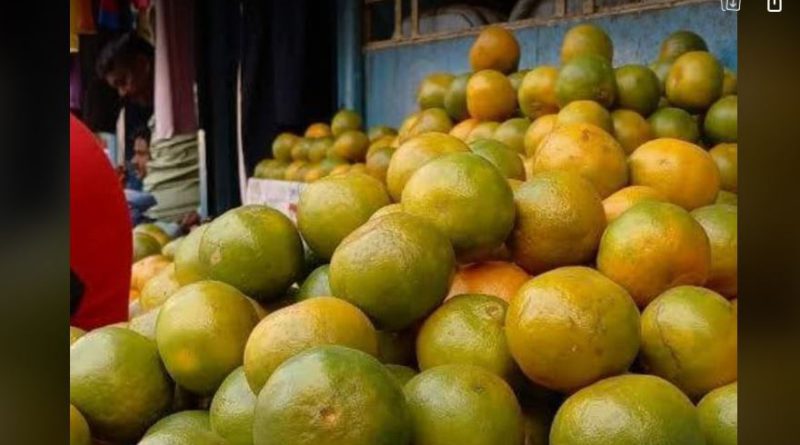 বেস্ট কলকাতা নিউজ : শীতকাল আসার সাথে সাথেই শুরু কমলালেবুর বাজার, তবে দেদার বিক্রি হচ্ছে নকল কমলাও