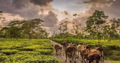 বেস্ট কলকাতা নিউজ : খুব শীঘ্রই তৈরি হচ্ছে ভারত ভুটান রেলপথ, প্রবল উৎসাহী পাহাড়ের মানুষেরাও