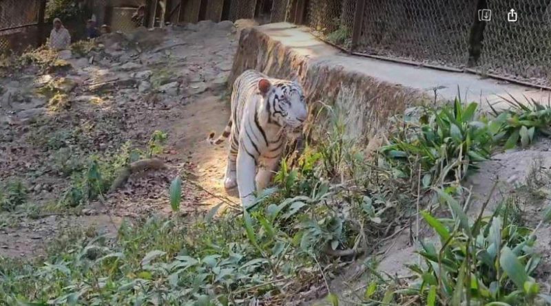 বেস্ট কলকাতা নিউজ : অবশেষে ৬ নতুন অতিথি এলো পদ্মযা নাইডু জিওলজিক্যাল পার্কে