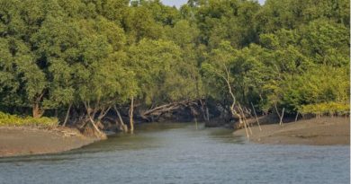 বেস্ট কলকাতা নিউজ : সুন্দরবনে এক অভিনব পরিকল্পনা রাজ্যের তরফে, দুরন্ত তৎপরতা বিপজ্জনক নদীবাঁধের সংস্কারের কাজেও!