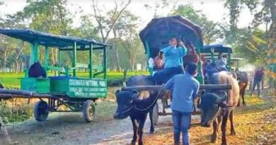 বেস্ট কলকাতা নিউজ : এবার থেকে " কিউআর কোড " স্ক্যান করলেই জানতে পারবেন " গরুমারাকে " যাবতীয় তথ্য মিলবে রাজ্য বন দপ্তরের ওয়েবসাইটে