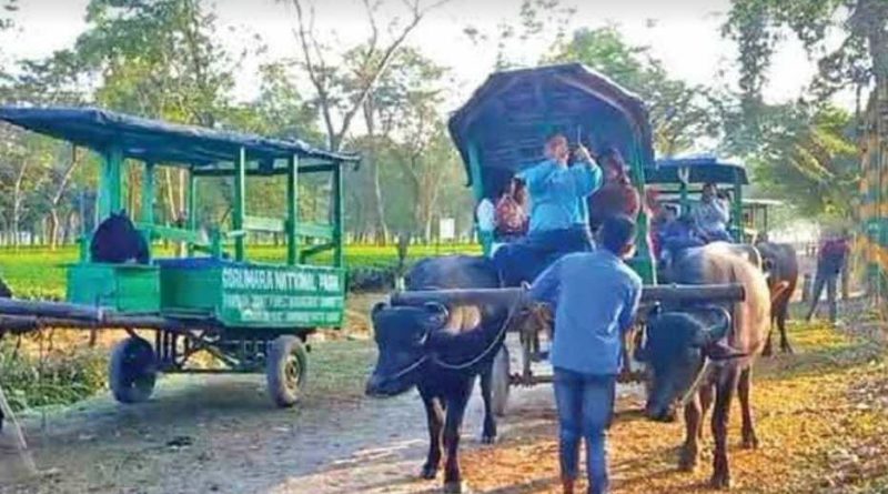 বেস্ট কলকাতা নিউজ : এবার থেকে " কিউআর কোড " স্ক্যান করলেই জানতে পারবেন " গরুমারাকে " যাবতীয় তথ্য মিলবে রাজ্য বন দপ্তরের ওয়েবসাইটে