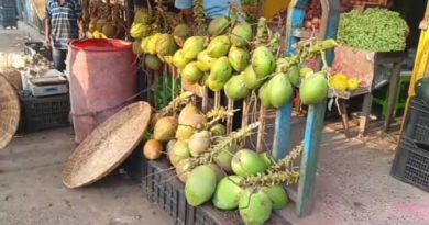 বেস্ট কলকাতা নিউজ : গরম পড়তেই শিলিগুড়িতে ক্রমশ বাড়ছে ডাবের ব্যাপক চাহিদা