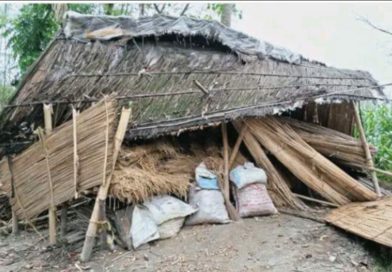 বেস্ট কলকাতা নিউজ : বাড়ির খাবারের উপর চরম লোভ, বাড়িতে ঢুকে কুমড়ো, নারকেল এবং কাঁঠাল দিয়ে রাতের খাবার সারলো হাতি