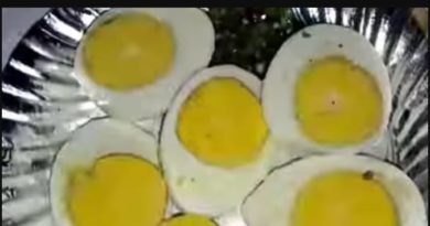 বেস্ট কলকাতা নিউজ : সিদ্ধ ডিম বিক্রি করে লাখপতি জলপাইগুড়ির অয়ন রায়