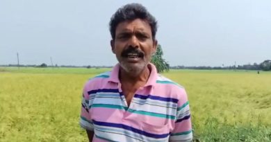 বেস্ট কলকাতা নিউজ : ধান-পাট-তিল! সব শেষ একরাতের শিলাবৃষ্টিতেই , ক্ষতিপূরণ মিলবে কি? প্রশ্ন উঠছে চাষিদের মনে