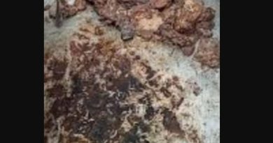 বেস্ট কলকাতা নিউজ : বিরিয়ানিতে পোকা মিললো শিলিগুড়ির চম্পা সারিতে, ব্যাপক উত্তেজনা ছড়ালো গোটাএলাকা জুড়ে