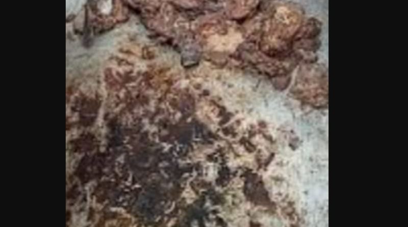 বেস্ট কলকাতা নিউজ : বিরিয়ানিতে পোকা মিললো শিলিগুড়ির চম্পা সারিতে, ব্যাপক উত্তেজনা ছড়ালো গোটাএলাকা জুড়ে