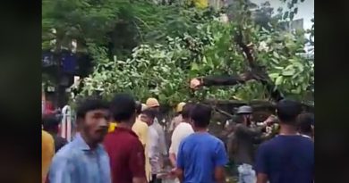 বেস্ট কলকাতা নিউজ : সেবক মোড়ে রাস্তার উপরে পড়ে গেল বিশাল আকারের গাছ, ব্যাপক চাঞ্চল্য ছড়ালো এলাকা জুড়ে