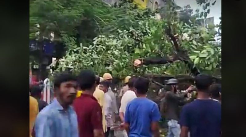 বেস্ট কলকাতা নিউজ : সেবক মোড়ে রাস্তার উপরে পড়ে গেল বিশাল আকারের গাছ, ব্যাপক চাঞ্চল্য ছড়ালো এলাকা জুড়ে