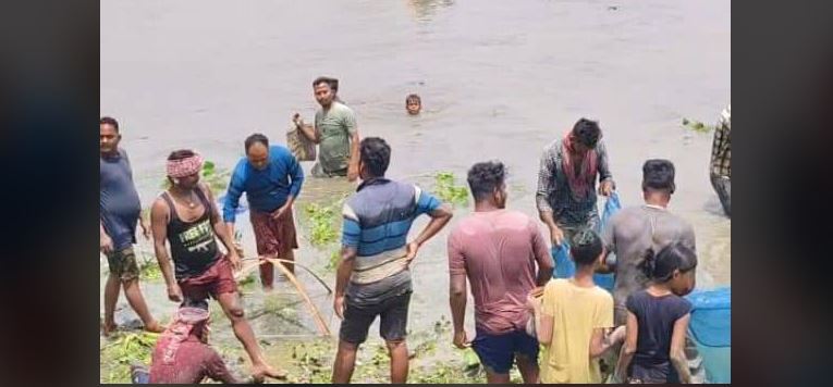 বেস্ট কলকাতা নিউজ : মহানন্দা নদীর জল কমতেই মাছ ধরার ব্যাপক হিড়িক পড়লো ফুলবাড়িতে