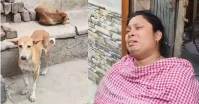 বেস্ট কলকাতা নিউজ : পথ কুকুরদের মারধর করার তীব্র প্রতিবাদ! দুই ভাইকে বেধড়ক মার, একজনের মৃত্যু হল হাসপাতালে