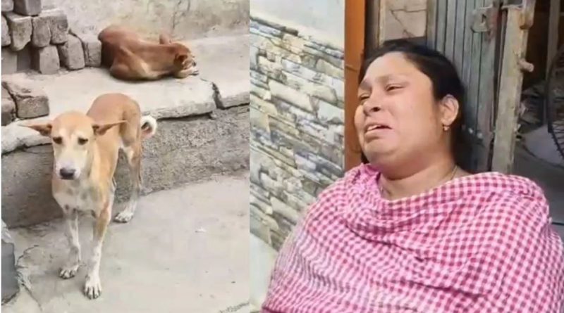 বেস্ট কলকাতা নিউজ : পথ কুকুরদের মারধর করার তীব্র প্রতিবাদ! দুই ভাইকে বেধড়ক মার, একজনের মৃত্যু হল হাসপাতালে