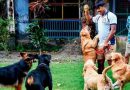 বেস্ট কলকাতা নিউজ : বিশেষ প্রশিক্ষণ যুদ্ধ-পরিস্থিতিতে , বিস্ফোরক খুঁজতে কলকাতা পুলিশের একমাত্র ভরসা এই সারমেয় জুটি