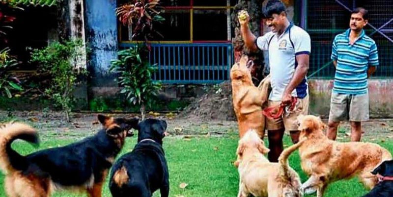বেস্ট কলকাতা নিউজ : বিশেষ প্রশিক্ষণ যুদ্ধ-পরিস্থিতিতে , বিস্ফোরক খুঁজতে কলকাতা পুলিশের একমাত্র ভরসা এই সারমেয় জুটি