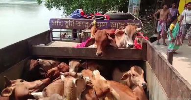 বেস্ট কলকাতা নিউজ : ভয়াবহ দুর্ঘটনার জেরে প্রকাশ্যে এল গরু পাচারের নতুন রুট! ব্যাপক চাঞ্চল্য ছাড়ালো লালবাগ-সাহাপুর ঘাটে