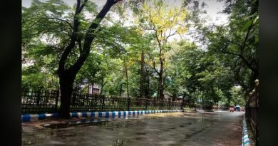 বেস্ট কলকাতা নিউজ : রোদ এবং বৃষ্টির কারণে পর্যটক থাকতে চাইছেন শহর শিলিগুড়িতে