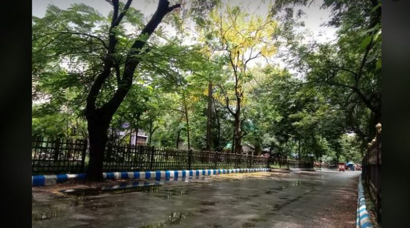 বেস্ট কলকাতা নিউজ : রোদ এবং বৃষ্টির কারণে পর্যটক থাকতে চাইছেন শহর শিলিগুড়িতে
