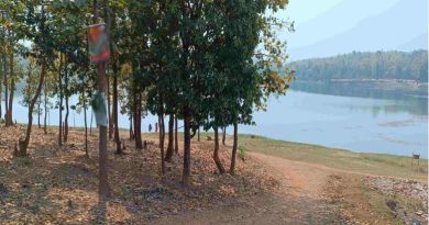 বেস্ট কলকাতা নিউজ : ৬ কোটি টাকা ব্যয়ে পূর্ব কলকাতায় তৈরি হতে চলেছে বিরাট এক বনাঞ্চল