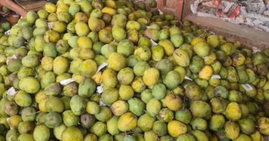 বেস্ট কলকাতা নিউজ : বিহারে রফতানির সময় ৮ টন হিমসাগর আম নিয়ে মাঝরাস্তা থেকে উধাও হয়ে গেলো ট্রাক, মাথায় হাত পড়লো ব্যবসায়ী থেকে শুরু করে কৃষকদের