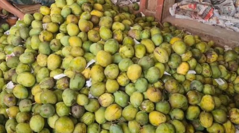 বেস্ট কলকাতা নিউজ : বিহারে রফতানির সময় ৮ টন হিমসাগর আম নিয়ে মাঝরাস্তা থেকে উধাও হয়ে গেলো ট্রাক, মাথায় হাত পড়লো ব্যবসায়ী থেকে শুরু করে কৃষকদের
