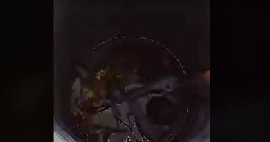 বেস্ট কলকাতা নিউজ : কুয়াতে পড়ে গেলেন মানসিক ভারসাম্যহীন মহিলা, পরে উদ্ধার হল দমকলের জোর চেষ্টায়